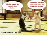 /album/galeria-de-fotos-mundo-animal/animais-9-jpg/